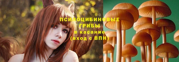 крисы Балахна