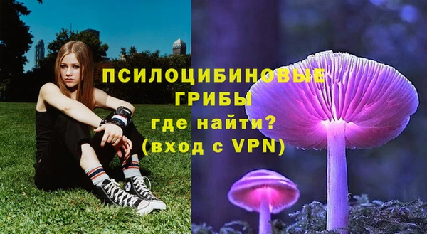 крисы Балахна