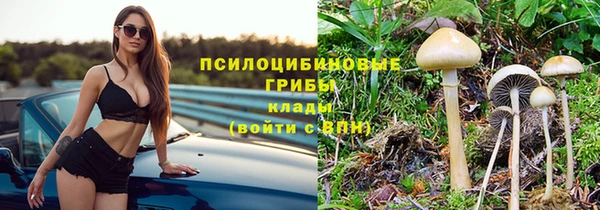 ALPHA PVP Баксан